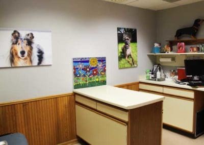 Escanaba Veterinary Clinic exam room