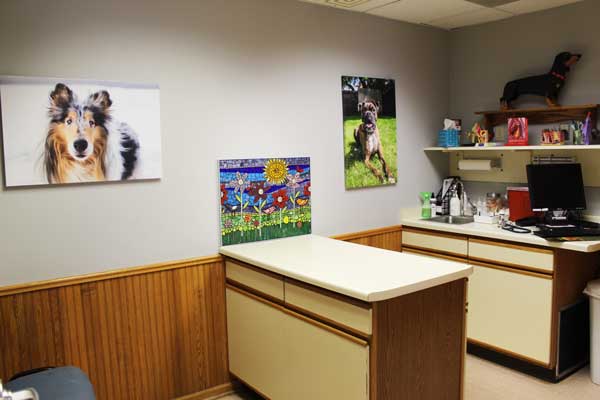 Escanaba Veterinary Clinic exam room