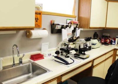 Lab equipment at Escanaba Veterinary Clinic