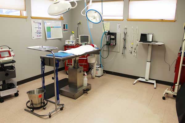 Surgical suite inside Escanaba Veterinary Clinic